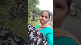 பக்கம் நீ இருந்த போதும்🥰🥰🥰 #tamil #love #youtubeshorts #naturepbs