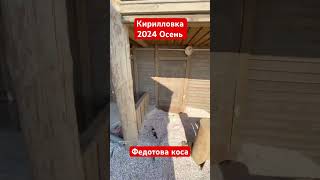 Кирилловка осень 2024 после шторма! Как после Апокалипсиса 🤦‍♂️ Федотова коса и базы