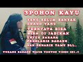 3 Pohon kayu yang belum banyak orang tahu ternyata bisa di jadikan untuk sarana penglaris dagang..!!