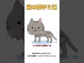 【面白い雑学】猫の雑学⑧