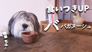 犬ご飯手作りレシピ｜ババガヌーシュの作り方【もふ飯】