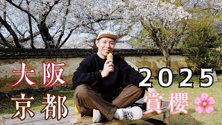 『日本賞櫻』大阪京都！上百品種一次看 櫻吹雪美炸 🆈 yy生活誌