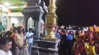 கோவை பழனி முருகன் பள்ளியறை பூஜை செல்லும் காட்சி