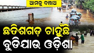 ଫେଲ ମାରିଲା ଛତିଶଗଡ଼ ର ସବୁ ପ୍ଲାନ | Chatishgarh | HirakudaDam | Nirapekshya News