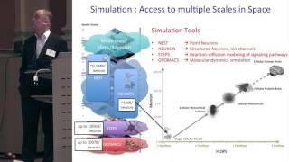 Karlheinz Meier - Neuromorphic Computing - Extreme Approaches to weak and strong scaling