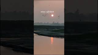 বোনেরা আমার এখন ও সময় আছে ভালো হয়ে যাওয় #ইসলামিক_ভিডিও #unfrezzmyaccount #আবু_ত্বহা_মুহাম্মদ_আদনান