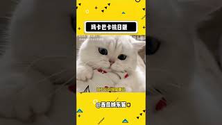 起猛了，看到玛卡巴卡抗日了#娱乐评论大赏 #每日一笑