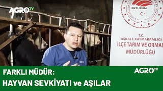 Doğudan Trakya’ya Hayvan Sevkleri / Agro TV