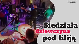 Babiorze - Siedziała dziewczyna pod liliją ( na żywo 2024 )