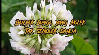 Download Lagu Lirik Lagu Dangdut BUNGA DAHLIA Cover Dangdut by A... MP3 Gratis