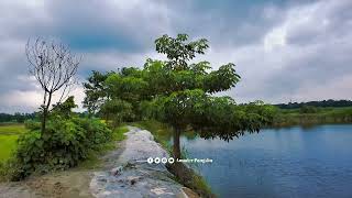 চলো হারিয়ে যাই গ্রামের ঐ সুন্দর্যের মাঝে i love village ❤❤❤