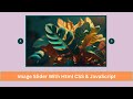 Image Slider html and css | With Auto play & Manual Navigation Button | owl carousel
