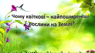 Урок 50.  Чому квіткові   найпоширеніші рослини на Землі?Я досліджую світ 3 клас