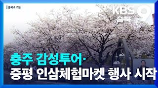 [충북\u0026오늘] 충주 감성투어·증평 인삼체험마켓 행사 시작 / KBS  2023.04.07.