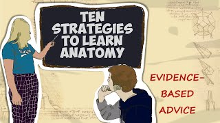 10 EVIDENCE-BASED Strategies to Learn Anatomy