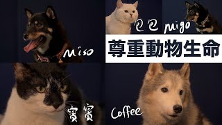 【 尊重動物 • 保護生命 • 鏡頭背後 】