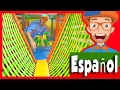 El Patio de Juegos Cubierto con Blippi Español | Aprende Los Colores y Más