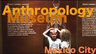 Worldschooling at Mexico City National Anthropology Museum (Museo Nacional de Antropología Mexico)