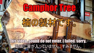 楠の製材動画です。Camphor Tree Sawinng!!