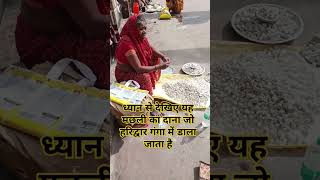 ध्यान से देखिए यह है मछली का दाना जय गंगा मैया#haridwar #ganga #viralvideo #shortvideo