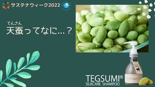 天蚕（てんさん）ってなに？