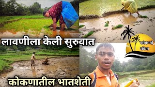 @KokaniSanketVlogs लावणीला केली सुरुवात,कोकणातील भातशेती, मम्मीसोबत लागली पैज #kokan