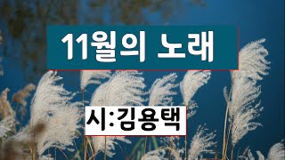 [시낭송] 11월의 노래#김용택*11월의 시ㅣ그리움ㅣ기다림(낭송:봉경미ㅣ음악:손방원팬플룻)사랑 그 쓸쓸함에 대하여