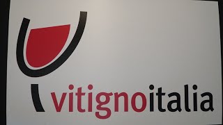 SPECIALE VITIGNO ITALIA 2022