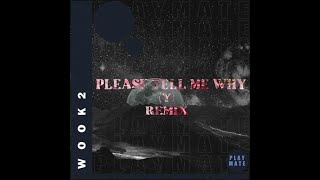 프리스타일 (Free Style) - Please Tell Me Why (Y) (WOOK2 Remix)