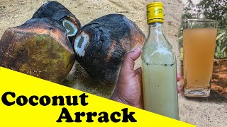 Home made | Coconut Arrack in village style