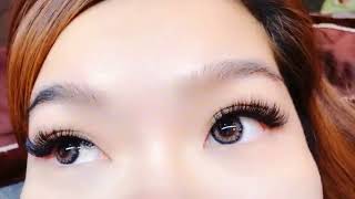 6D EYELASH EXTENSION/BLACK PEARL QLAHS