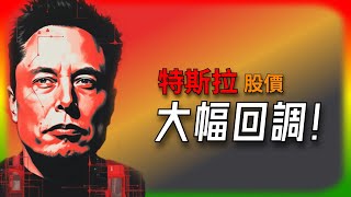 【Tesla每日快訊】 馬斯克惹禍？特斯拉股價跳水，特斯拉投資人該繼續堅守嗎？🔥美國關稅/DOGE/直銷禁令（2025/2/12-1）