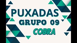 Puxadas Grupo 09.Cobra