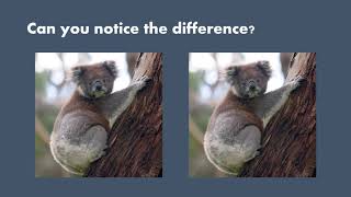 GEMATMW The Application of Image Steganography to Data Security