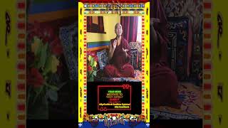 Why Study Buddhism by His Eminence Yongey Mingyur Rinpoche #Shorts