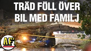 Här slår stormen Babet till med full kraft i södra Sverige