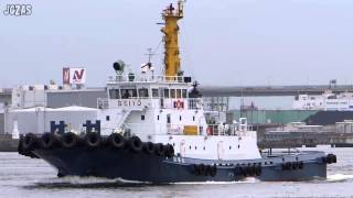 SEIYO MARU 誠陽丸 Tug boat タグボート 昭陽汽船 大阪港 2014-JUL