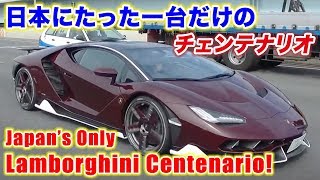 日本にたった1台！ランボルギーニ・チェンテナリオ！Japan's Only Lamborghini Centenario Steve's POV スティーブ的視点