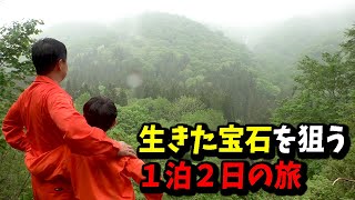 【生きた宝石】１泊２日のコルリクワガタ採集旅 【１日目】【新潟県】