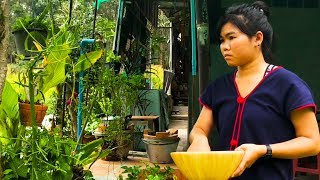 How to Make Thai Jungle Curry with Chicken and Jungle Curry Paste. Cooking Gaeng Pa แกงป่า