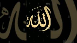 Allah hu Allah.| 20 Minutes zikr on Channel | Listen And Feel Relax