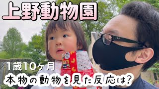 【上野動物園】1歳児が喜んだ生き物はまさかのアレでしたw