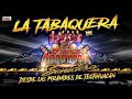 la nueva orquesta sonidera la tabaquera