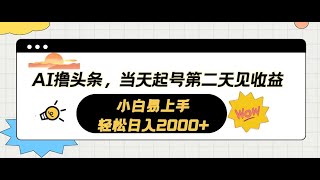 Ai项目介绍 AI撸头条，当天起号，第二天见收益。轻松日入2000+