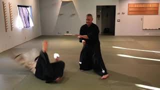 Aikido: Helpful Hints on Atemi and Nage Waza from Kata Dori