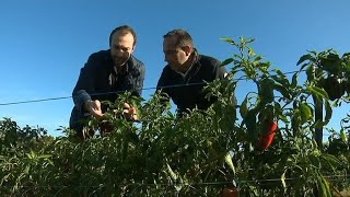 France's Basque Country: A land of chefs • FRANCE 24 English