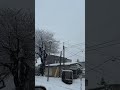 弘前市めっちゃ雪降ってらでば☃️