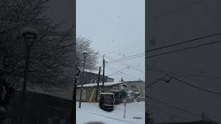 弘前市めっちゃ雪降ってらでば☃️