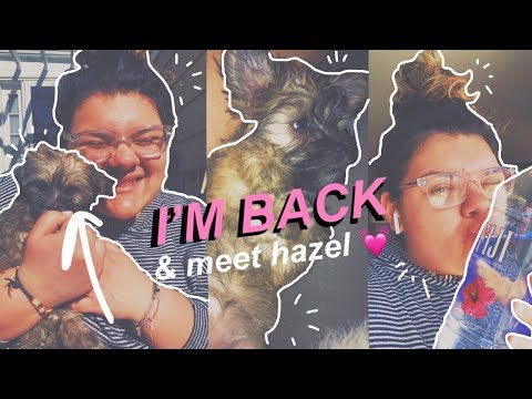 im back... and got a puppy. im back... and got a puppy.