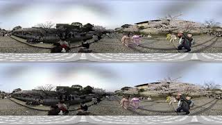 [3D360VR] 桜満開の蹴上インクライン 2019-04-07